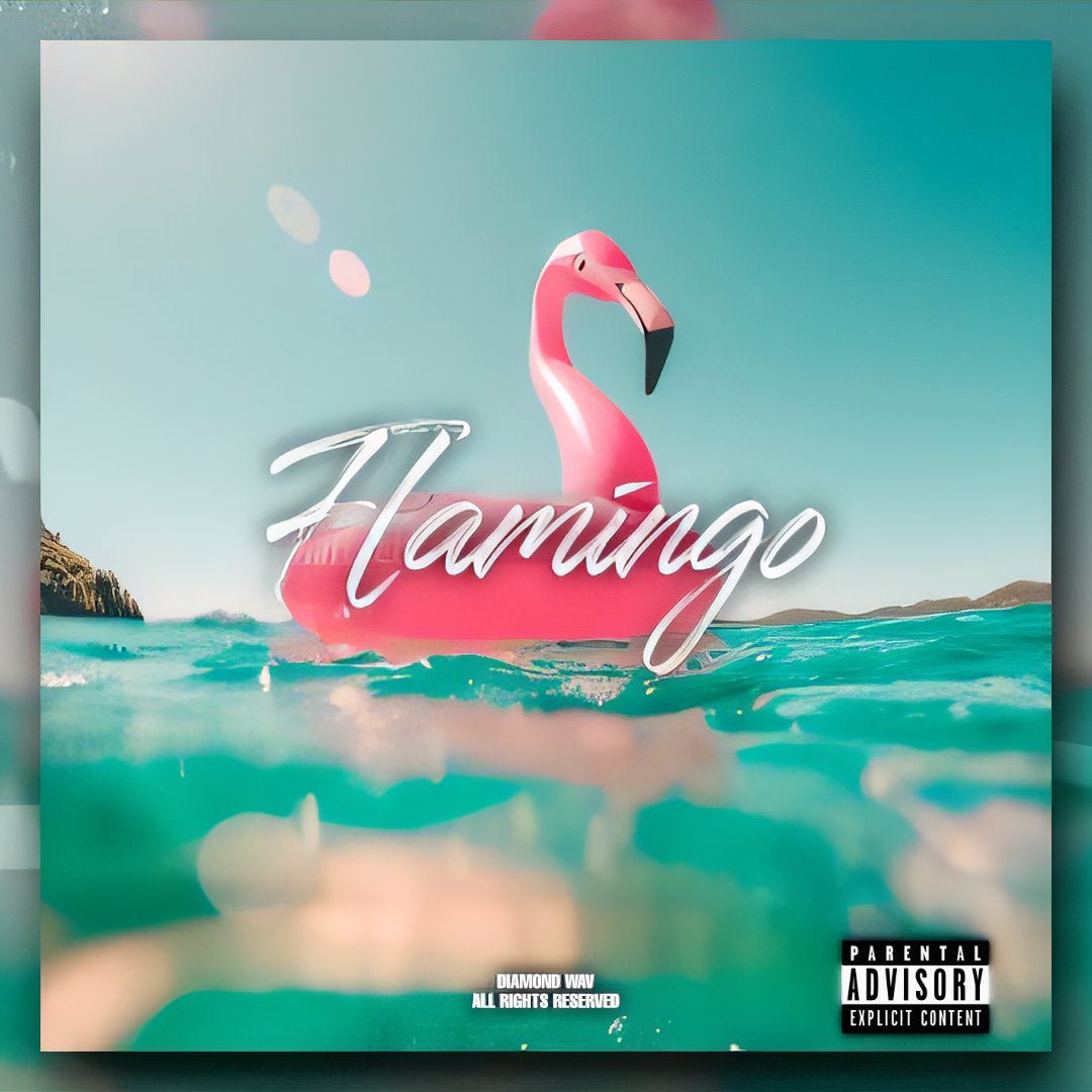 Flamingo - Spanish Guitar Loop Kit - Diamond Wav